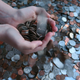 Illustration for article titled 27 Cool Photos Of International Coins
